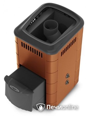 Дровяная печь-каменка TMF Тунгуска 2017 Carbon ДА ТО терракота в Ирбите